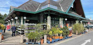 Concern over plants ‘dying’ outside stores