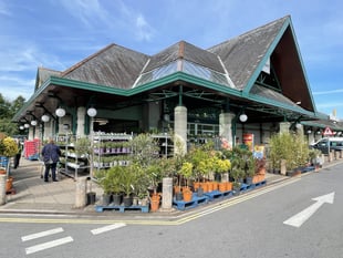 Concern over plants ‘dying’ outside stores