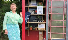 New calling for old phone box