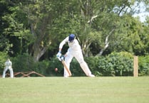 CRICKET: news from around the West Devon pitches
