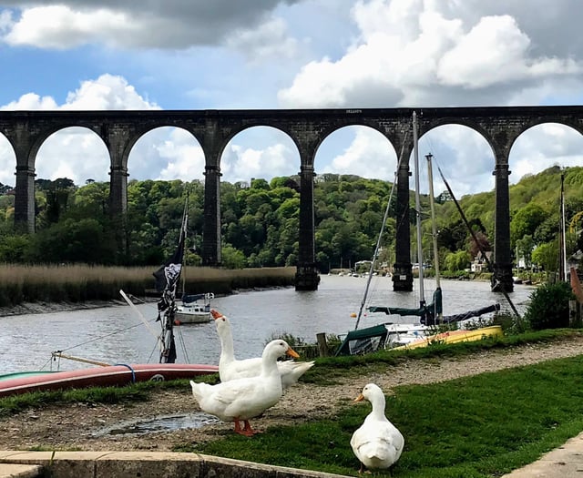 Calstock elect new parish councillors