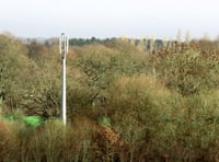 Fernworthy Forest phone mast could have solar power