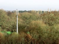 Fernworthy Forest phone mast could have solar power