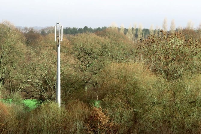 Rural communications mast in greenfield site, taken from https://www.cornerstone.network/