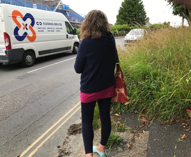 Action over Tavistock danger verge after woman’s near miss