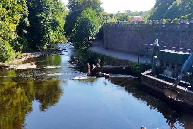 Families warned of dangers of tombstoning by youngsters