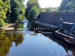 Families warned of dangers of tombstoning by youngsters