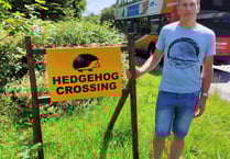 Prickly safety problem solved for hedgehogs