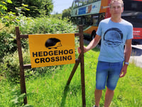 Prickly safety problem solved for hedgehogs