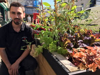 Shoppers urged to feast from street planters