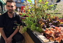 Shoppers urged to feast from street planters