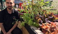 Shoppers urged to feast from street planters