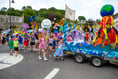Tavistock Carnival in pictures