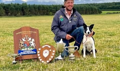 Callington man's national sheepdog trials success