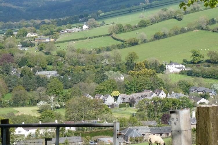 Milton Abbot general view