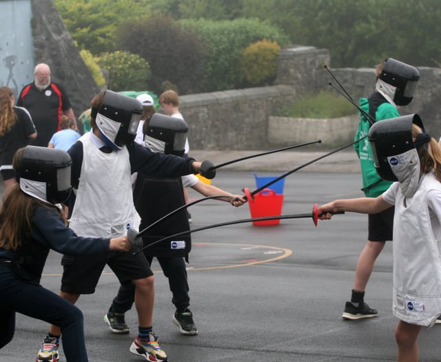 Multi skilling at Princetown Primary School
