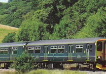 Tamar Valley Line puts on late train for fireworks champs