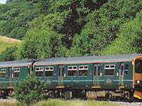 Tamar Valley Line puts on late train for fireworks champs