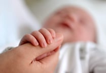 Fertility rate falls in Torridge