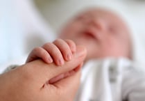 Fertility rate rises in West Devon