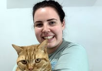 Tavistock animal lover sets up foodbank for pets