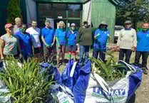Group tackles invasive species