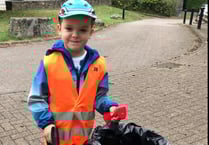 Tidy Tavi to mark 11th birthday