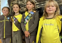 Brownies’ appeal