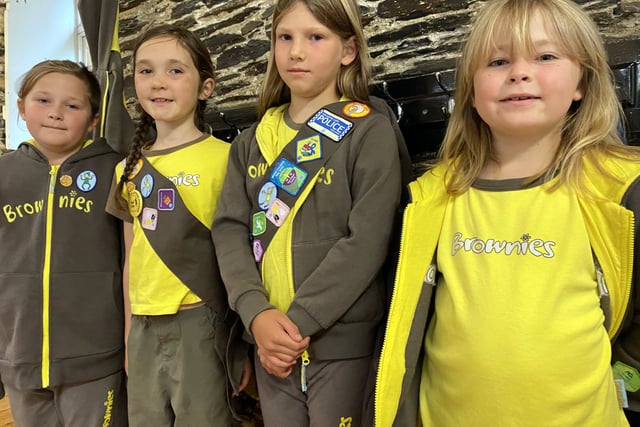 Brownies’ appeal