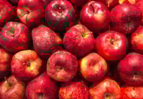 Apple Fest has been postponed