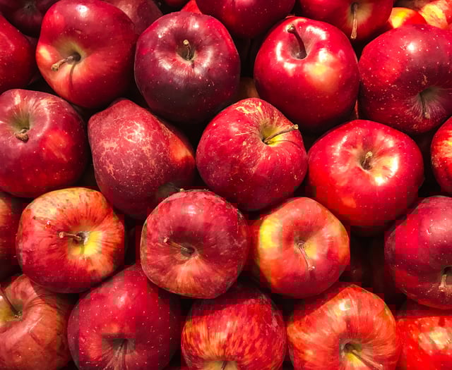 Apple Fest has been postponed