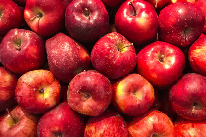 Apples