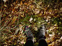 Organised walk next weekend
