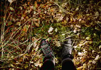 Organised walk next weekend
