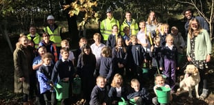 Children sow wildflower meadow outside Dartmoor Prison