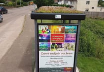 The next stop is a living roof bus shelter