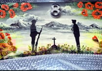 Tavistock mother appeals for return of missing Poppy Appeal painting