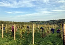 The community hoping to make their own wine