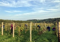 The community hoping to make their own wine