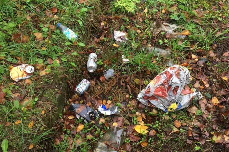 Rubbish at Tiddy Brook