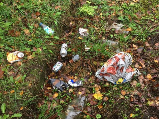 Youngsters join in war on litter in Tavistock tavistocktoday.co.uk