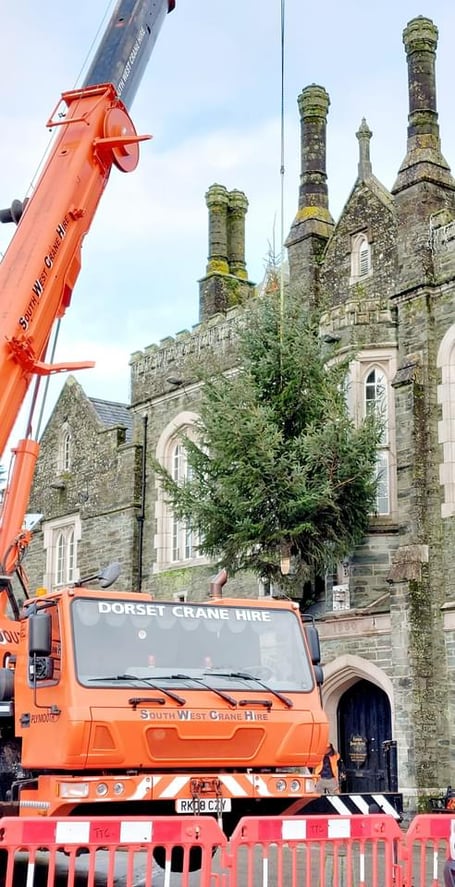 Lions Club of Tavistock’s annual Christmas charity  ‘Trees of Light’ put up on the town hall.