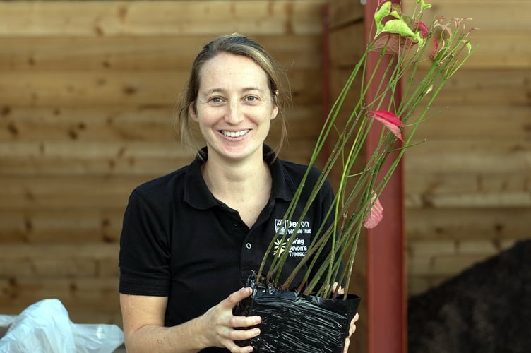 Saving Devon Treescapes’ Rosie Cotgreave