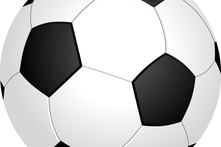 World Cup excitement builds in West Devon