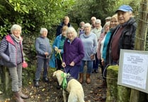 Residents act to protect ‘threatened’ footpath
