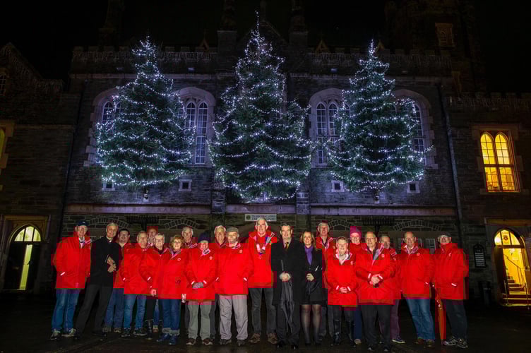 Tavistock Trees of Light