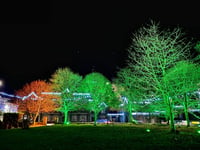 Sponsors ensure town is lit up for Christmas