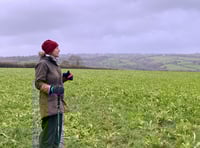 Farming evolution in the Tamar Valley
