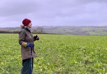 Farming evolution in the Tamar Valley