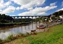 Public to call for clean water in the River Tamar this weekend